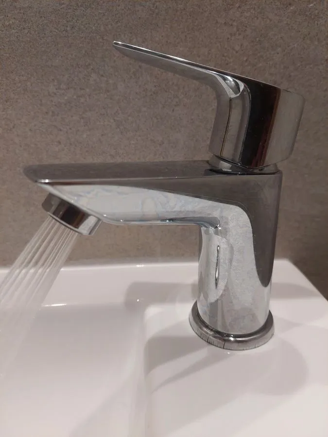 010 eksoikonomitis nerou manio leptomeria